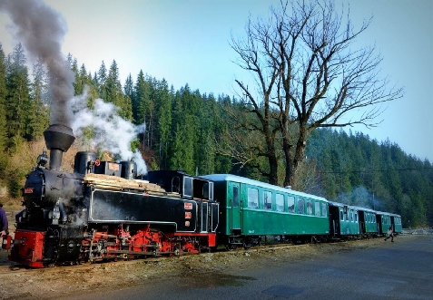 Pensiunea Vatra Bucovinei - cazare Vatra Dornei, Bucovina (Activitati si imprejurimi)