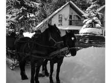 La Doi Bivoli - cazare Harghita Covasna (10)