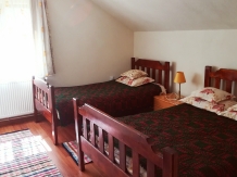 Cabana Transilvania - accommodation in  Apuseni Mountains, Belis (12)
