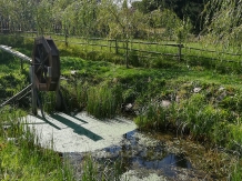 Cabana Transilvania - alloggio in  Apuseni, Belis (17)