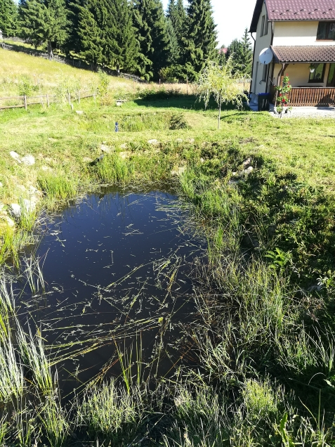 Cabana Transilvania - alloggio in  Apuseni, Belis (Attivit&agrave; e i dintorni)