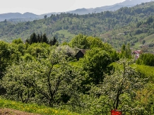 Pensiunea Panoramic - cazare Rucar - Bran, Moeciu (03)