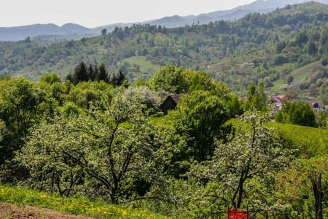 Pensiunea Panoramic - cazare Rucar - Bran, Moeciu (Activitati si imprejurimi)