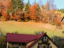 Casuta de Langa Padure - cazare Rucar - Bran, Moeciu (02)