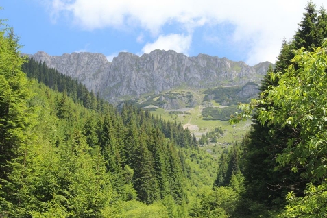 Casuta de Langa Padure - alloggio in  Rucar - Bran, Moeciu (Attivit&agrave; e i dintorni)