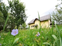 Rural accommodation at  Casa Mirea