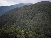 Cabana La Fragute - alloggio in  Apuseni, Valea Draganului (12)