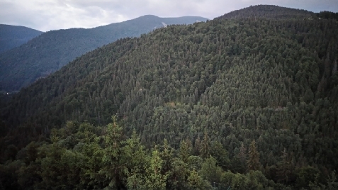 Cabana La Fragute - accommodation in  Apuseni Mountains, Valea Draganului (Surrounding)