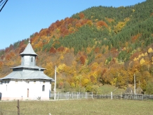 Cabana PUSA - accommodation in  Moldova (11)