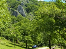 Pensiunea Casa Apostu - cazare Oltenia (29)