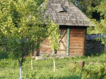 Casa de la Mara - cazare Tara Maramuresului (65)