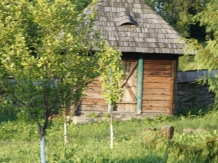 Casa de la Mara - alloggio in  Tara Maramuresului (65)