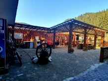 Pensiunea Casa Ducaru - accommodation in  Rucar - Bran, Moeciu (13)