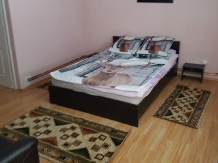Pensiunea Andreea - accommodation in  Fagaras and nearby (13)