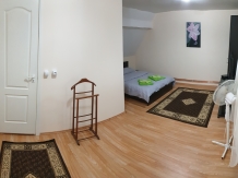 Pensiunea Andreea - accommodation in  Fagaras and nearby (15)