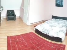 Pensiunea Andreea - accommodation in  Fagaras and nearby (16)