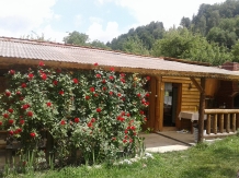Casa Alba - accommodation in  Rucar - Bran, Moeciu, Bran (11)