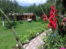 Casa Alba - accommodation in  Rucar - Bran, Moeciu, Bran (12)