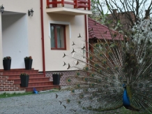 Casa Moldovan - alloggio in  Sovata - Praid (02)