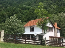 White Chalet - alloggio in  Tara Hategului (01)