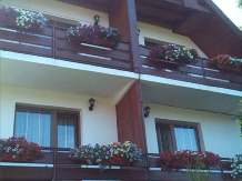 Casa Bazna - alloggio in  Sighisoara (09)