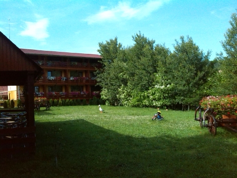 Casa Bazna - alloggio in  Sighisoara (Attivit&agrave; e i dintorni)