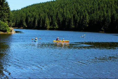 Cabana Magura Apuseana - accommodation in  Apuseni Mountains, Belis (Surrounding)