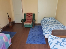 Casa Ria -Ria Pihenohaz - accommodation in  Harghita Covasna (08)