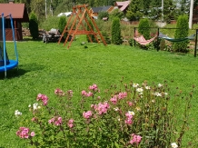 Pensiunea Emanuel - accommodation in  Apuseni Mountains (07)