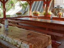 Pensiunea Emanuel - accommodation in  Apuseni Mountains (12)