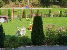 Pensiunea Emanuel - accommodation in  Apuseni Mountains (17)
