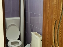 Pensiunea Emanuel - accommodation in  Apuseni Mountains (25)