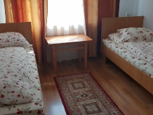 Pensiunea Emanuel - accommodation in  Apuseni Mountains (27)