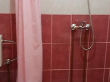 Pensiunea Emanuel - accommodation in  Apuseni Mountains (29)