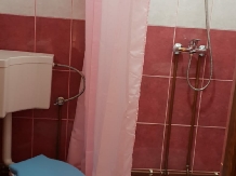 Pensiunea Emanuel - accommodation in  Apuseni Mountains (32)