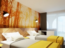Casa Boca - accommodation in  Transylvania (08)