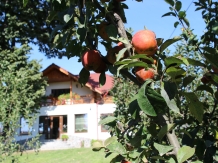 La Casa Boierului - cazare Oltenia (02)