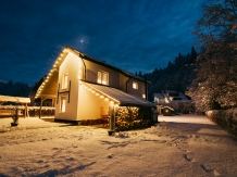 Cabana Guesthouse Transylvania - accommodation in  Fagaras and nearby, Transfagarasan (02)