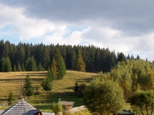 Casa Adelle - accommodation in  Vatra Dornei, Bucovina (13)