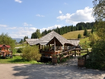 Casa Adelle - alloggio in  Vatra Dornei, Bucovina (14)