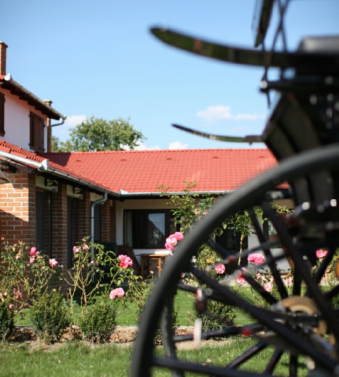 Casa Husarului - alloggio in  Harghita Covasna (Attivit&agrave; e i dintorni)