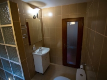 Casa Topazz - alloggio in  Nord Oltenia (06)