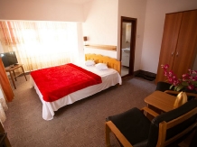 Casa Topazz - accommodation in  North Oltenia (07)