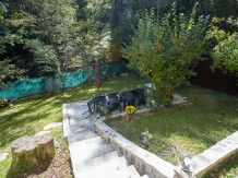 Casa Thor - accommodation in  Prahova Valley (12)