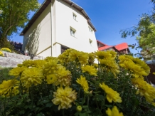 Casa Thor - alloggio in  Valle di Prahova (19)