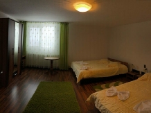 Vila Confort - accommodation in  Apuseni Mountains, Belis (21)