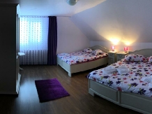 Vila Confort - accommodation in  Apuseni Mountains, Belis (22)