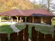 Cabana Izabela - accommodation in  Apuseni Mountains, Valea Draganului (09)