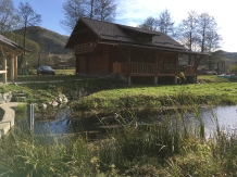 Cabana Izabela - accommodation in  Apuseni Mountains, Valea Draganului (45)