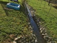 Cabana Izabela - alloggio in  Apuseni, Valea Draganului (50)